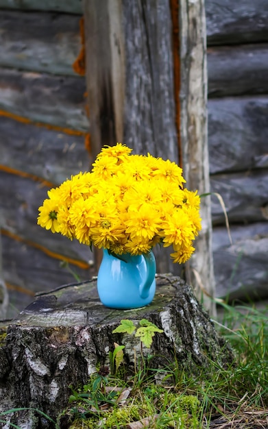 La sfera dorata gialla di Rudbeckia fiorisce in vaso blu all'aperto.