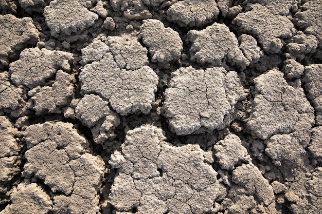 La siccità e la terra che va in frantumi