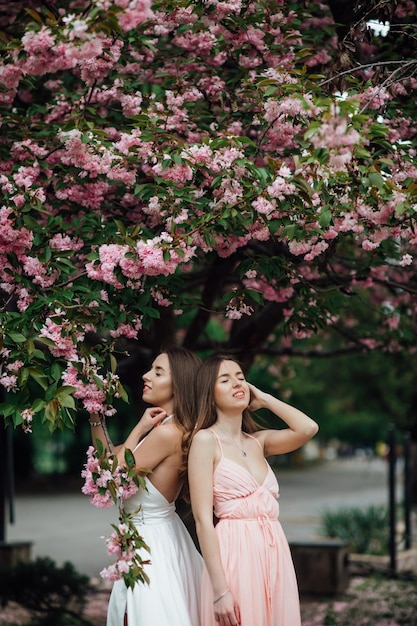 La signora alla moda sta posando vicino a un albero in fiore. Twin Girls Bellezza e moda femminile.