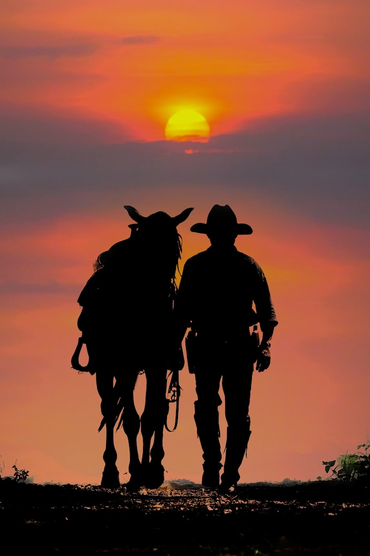 La silhouette del cowboy e il tramonto