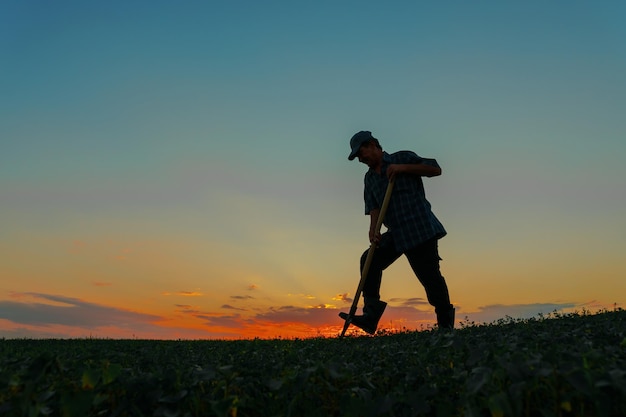 La silhouette di un dedicato contadino con la pala in mano cammina con determinazione attraverso il vasto campo a