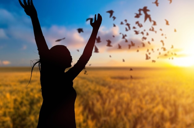 La siluetta della donna in buona salute ha sollevato le mani al prato sullo sfondo del tramonto