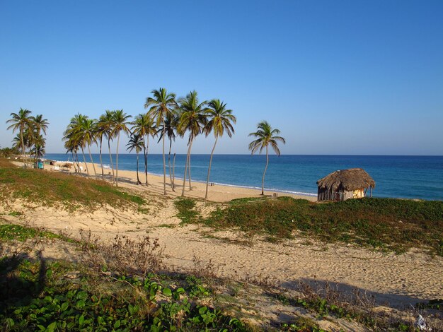 La spiaggia del Mar dei Caraibi a L'Avana, Cuba