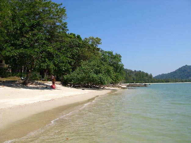 La spiaggia dell'isola di Langkavi in Malesia