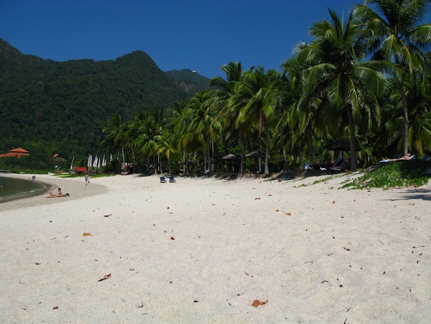 La spiaggia dell'isola di Langkavi in Malesia