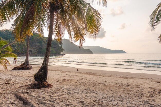 La spiaggia e le palme al mattino sull'isola