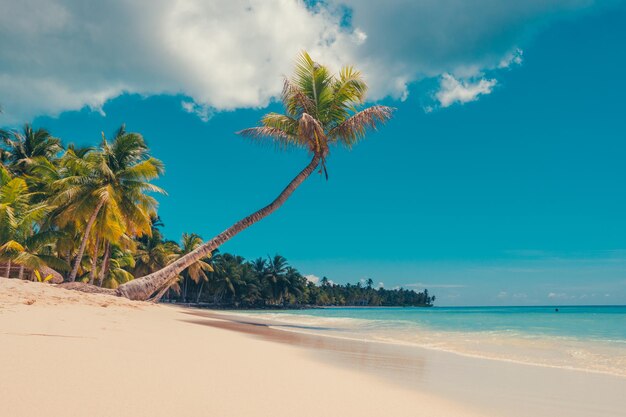 La spiaggia paradisiaca dei Caraibi