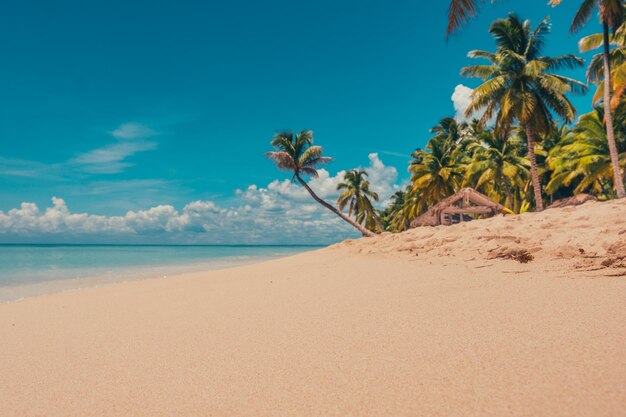 La spiaggia paradisiaca dei Caraibi