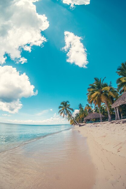 La spiaggia paradisiaca dei Caraibi