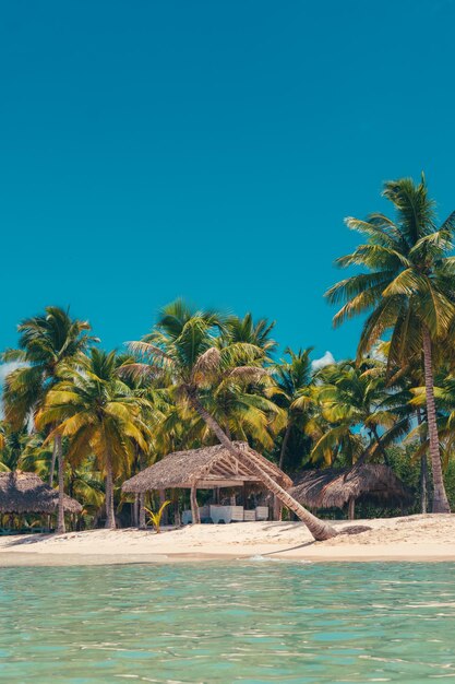 La spiaggia paradisiaca dei Caraibi