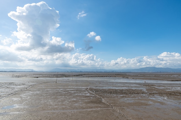 La spiaggia sotto il cielo azzurro e nuvole bianche, fertile terra nera