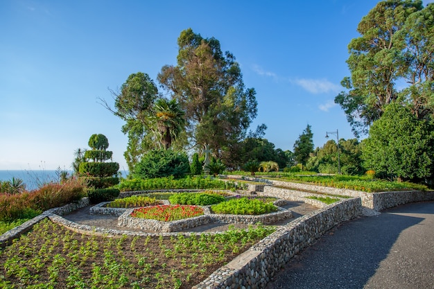 La splendida vista del giardino botanico di Batumi si trova vicino a Batumi