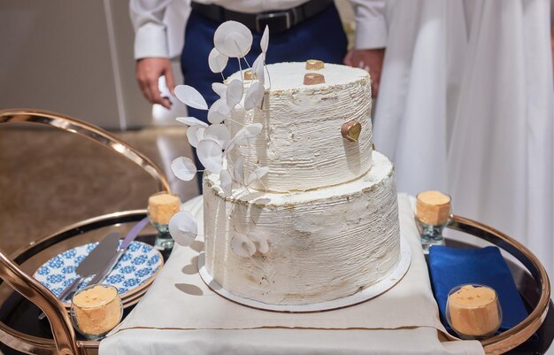 La sposa e lo sposo al banchetto insieme tagliano la torta nuziale aggrappandosi a un coltello Primo piano dei dettagli del matrimonio