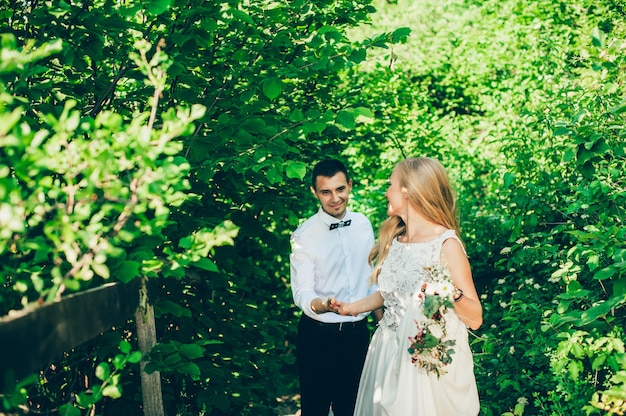 La sposa e lo sposo di bellezza su nozze camminano in parco