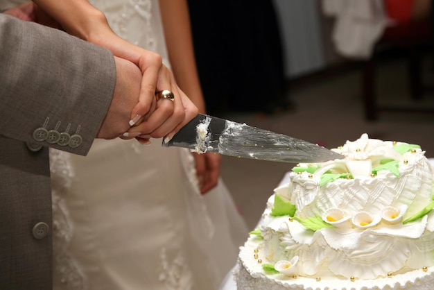 La sposa e lo sposo tagliano il primo piano della torta nuziale