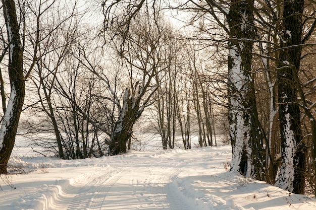 la stagione invernale e la strada