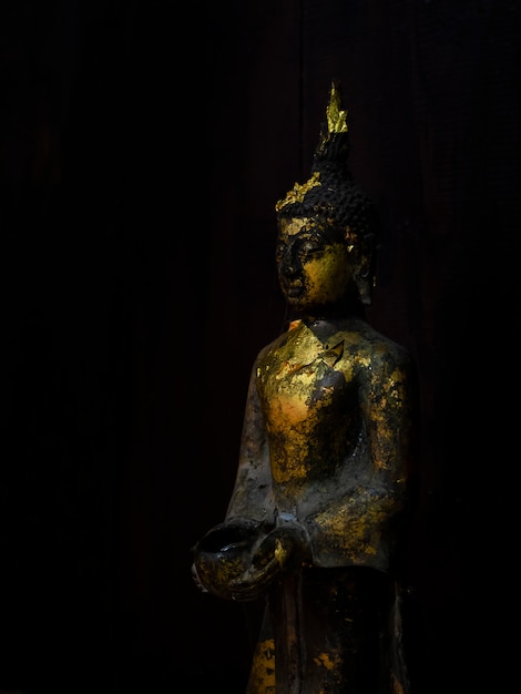 La statua di Gole Buddha