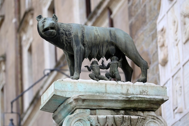 La statua di Romolo e Remo