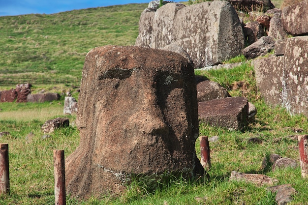 La statua Moai in Ahu Vinapu, isola di pasqua, Cile