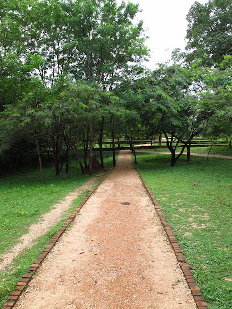 La strada a Polonnaruwa, Sri Lanka