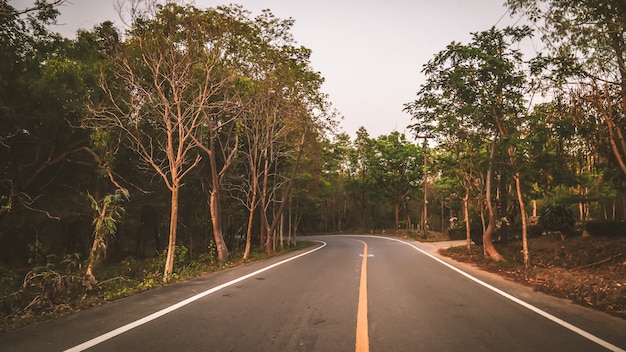 La strada asfaltata gira a sinistra tra la foresta