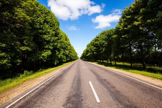 La strada asfaltata per l'estate dell'anno. lungo la strada crescono alberi