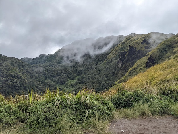 La strada che va verso la vetta della montagna con la savana e le vibrazioni nebbiose