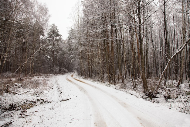 La strada coperta di neve in una stagione invernale