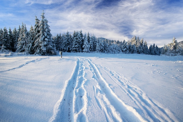 La strada d'inverno