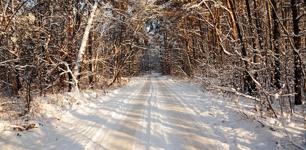 La strada d'inverno