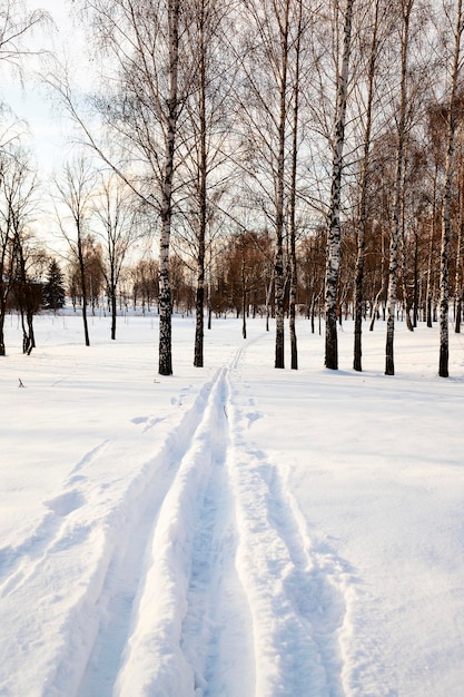 La strada d'inverno