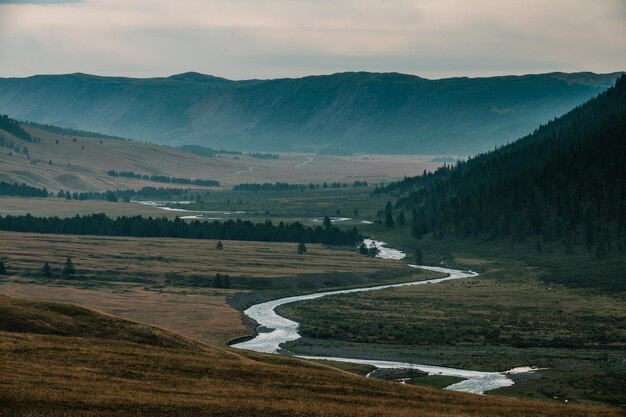 La strada da koshagach al villaggio di belyashi nella repubblica di altai