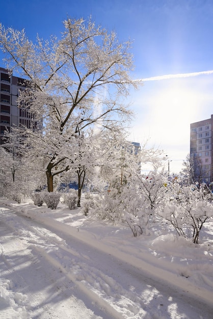 La strada della città invernale è completamente ricoperta di neve