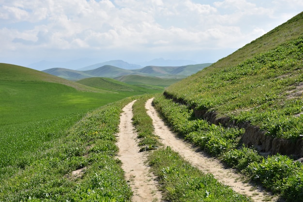 la strada della natura