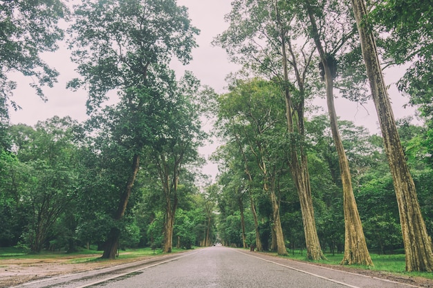 La strada di Ankorwat