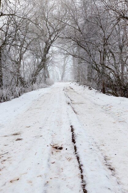 La strada è coperta di neve nella stagione invernale