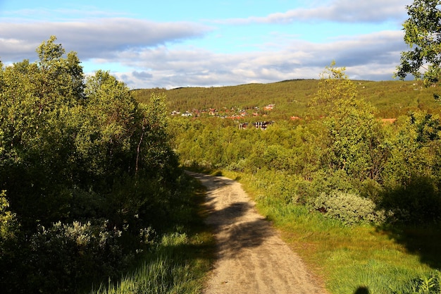 La strada in Norvegia Scandinavia