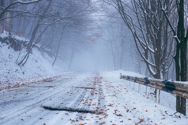 La strada innevata in inverno passa attraverso la foresta