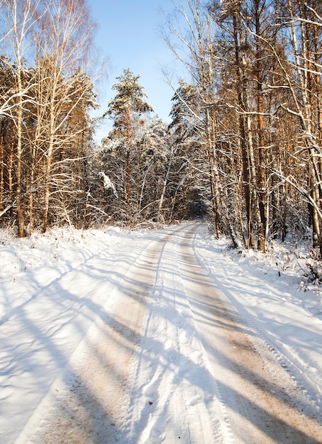 La strada invernale ricoperta di neve