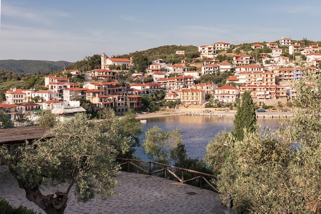 La strada lungomare circondata da ulivi conduce a una piccola città mediterranea su una collina in riva al mare