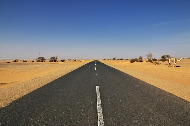 La strada nel deserto del Sahara, in Sudan