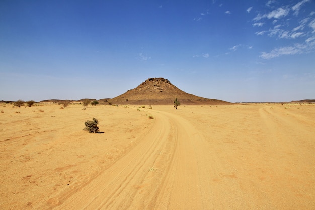 La strada nel deserto del Sahara