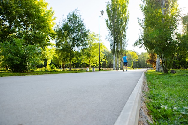 La strada nel parco cittadino con alberi ed erba