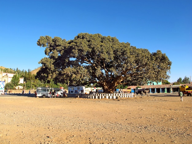 La strada nella città di Axum, in Etiopia