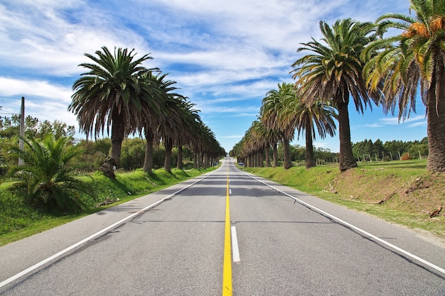 La strada per Colonia del Sacramento, Uruguay