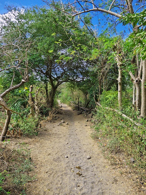 La strada per il vulcano Taal nelle Filippine