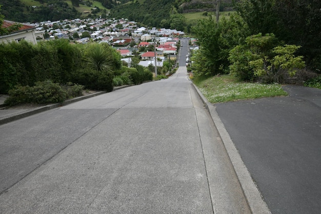 La strada residenziale più ripida del mondo Baldwin Street Dunedin Isola del Sud della Nuova Zelanda