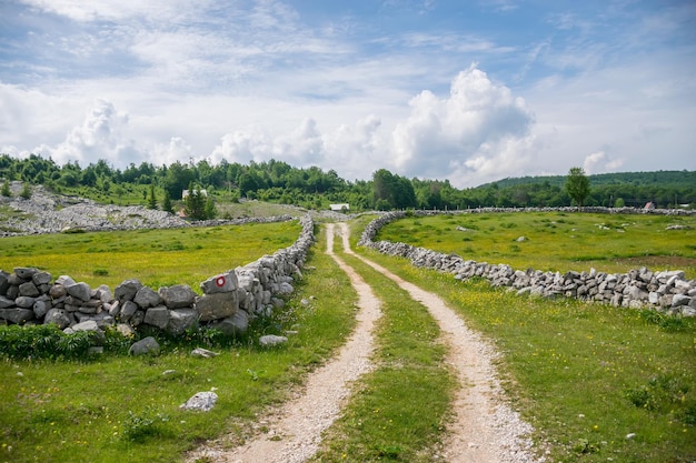 La strada rurale conduce a piccole case