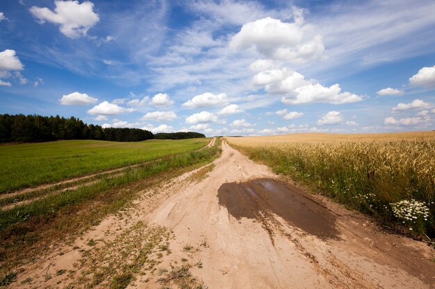 La strada rurale - la piccola strada non asfaltata nelle zone rurali