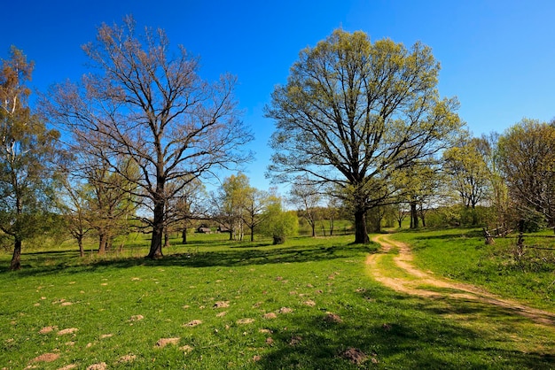 La strada rurale